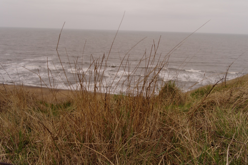 12 mile walk around Crimdon