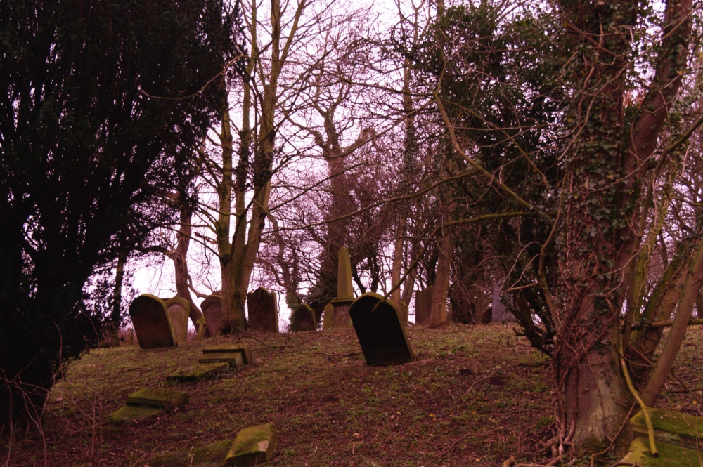 Photograph of Graves