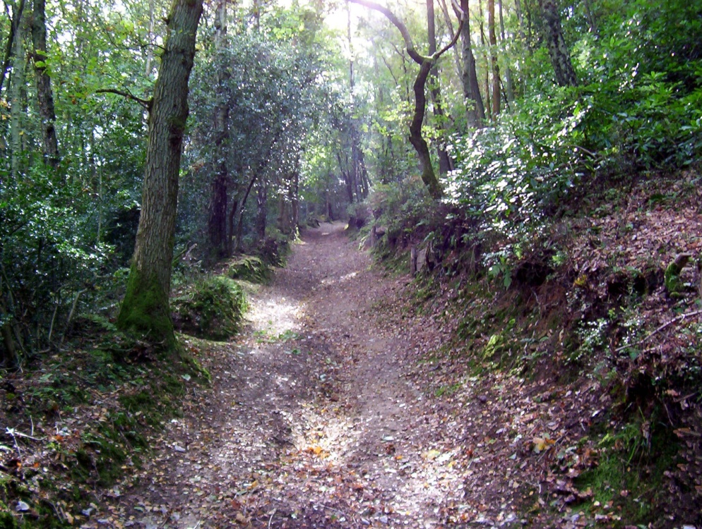 Punchbowl photo by Pete Smith