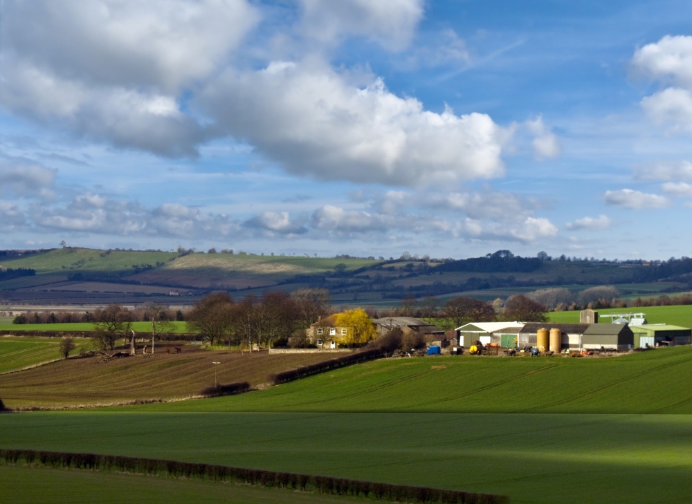 Photograph of Farm in the Spring sunshine