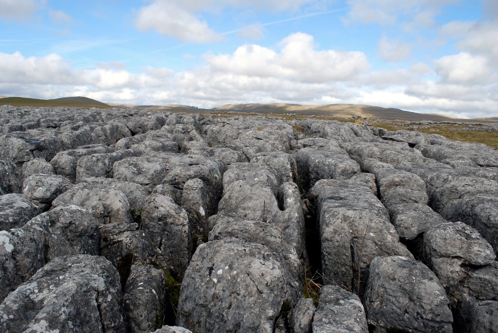 Limestone Pavement