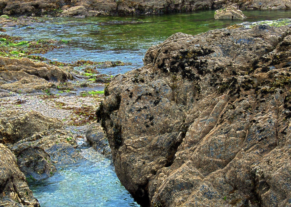 Photograph of Rock Pools