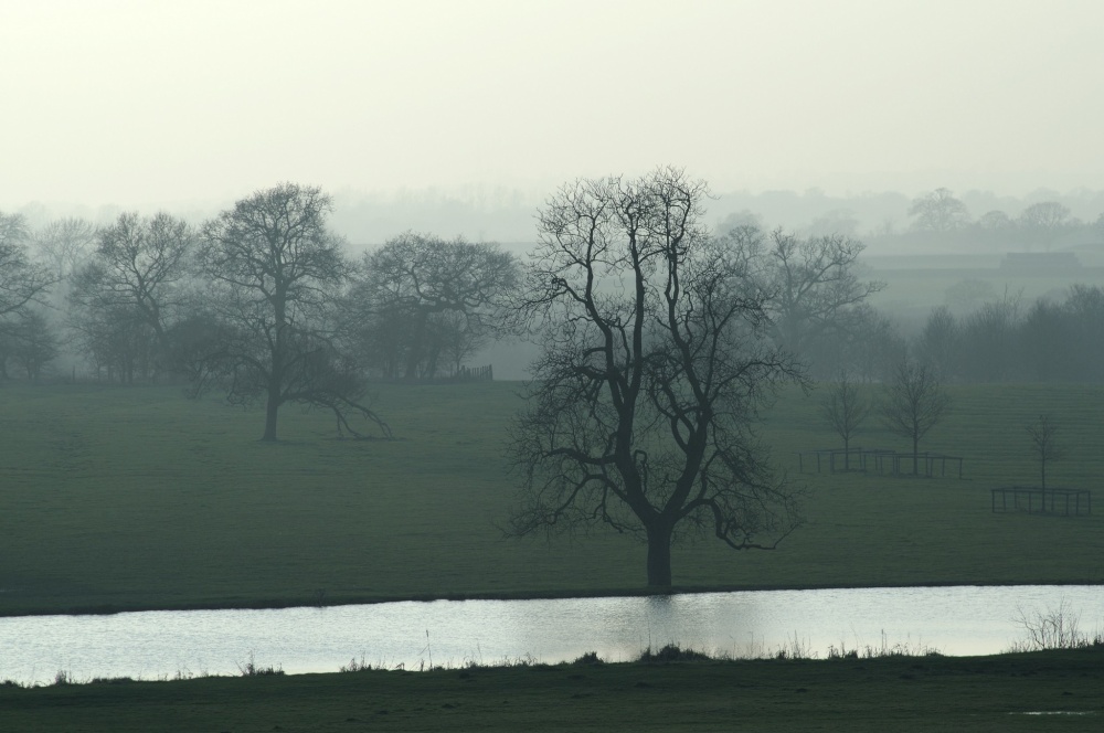 Mist near Claydon House, Middle Claydon, Bucks