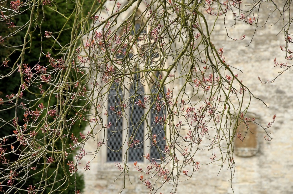 St Peter and St Paul Church, Cosgrove, Northants