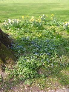 Emmanuel College, Cambridge