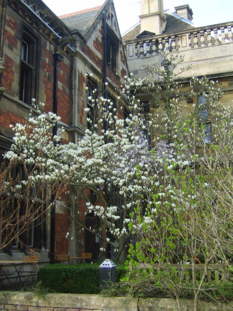 Pembroke College Gardens