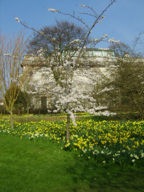 Peterhouse College Gardens