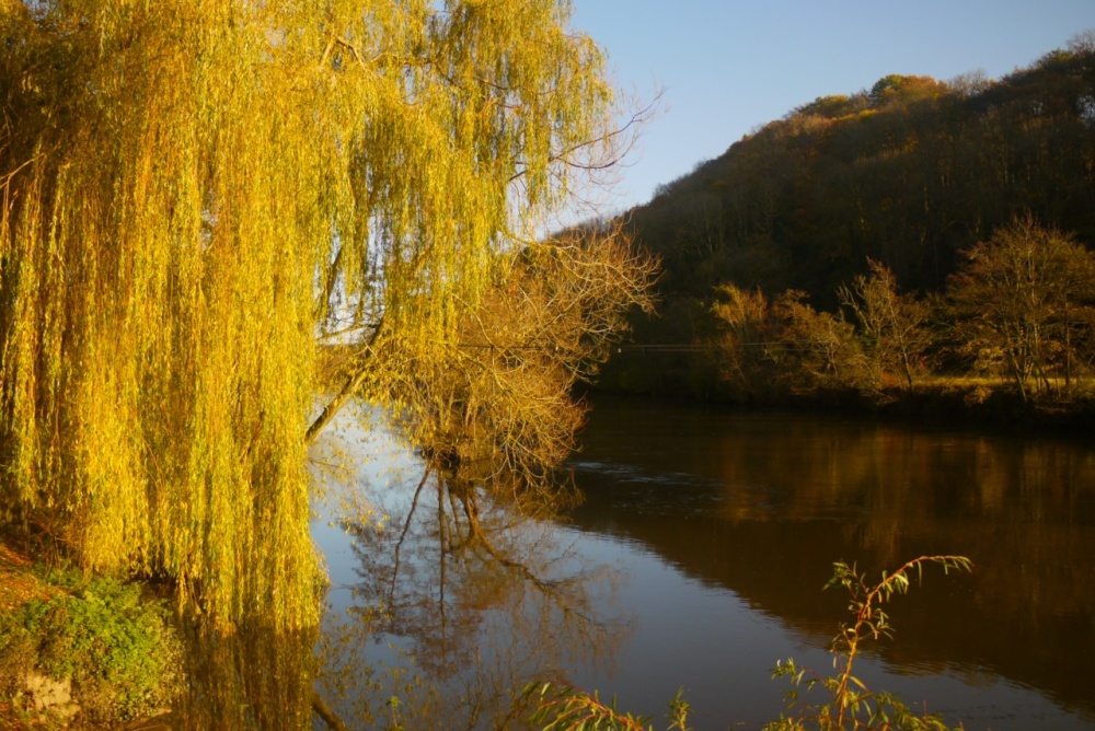Autumn on the River Wye