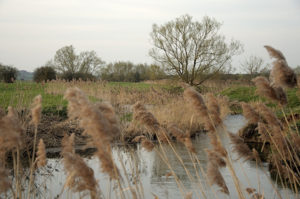 The River Cherwell, Somerton, Oxfordshire