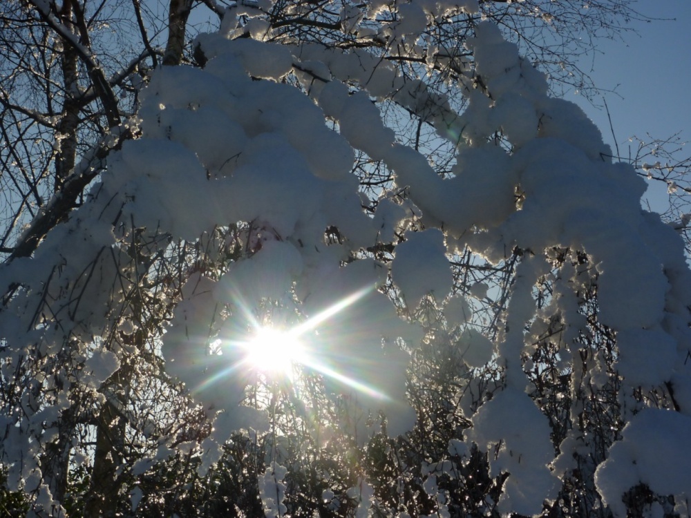 Sun after the snow