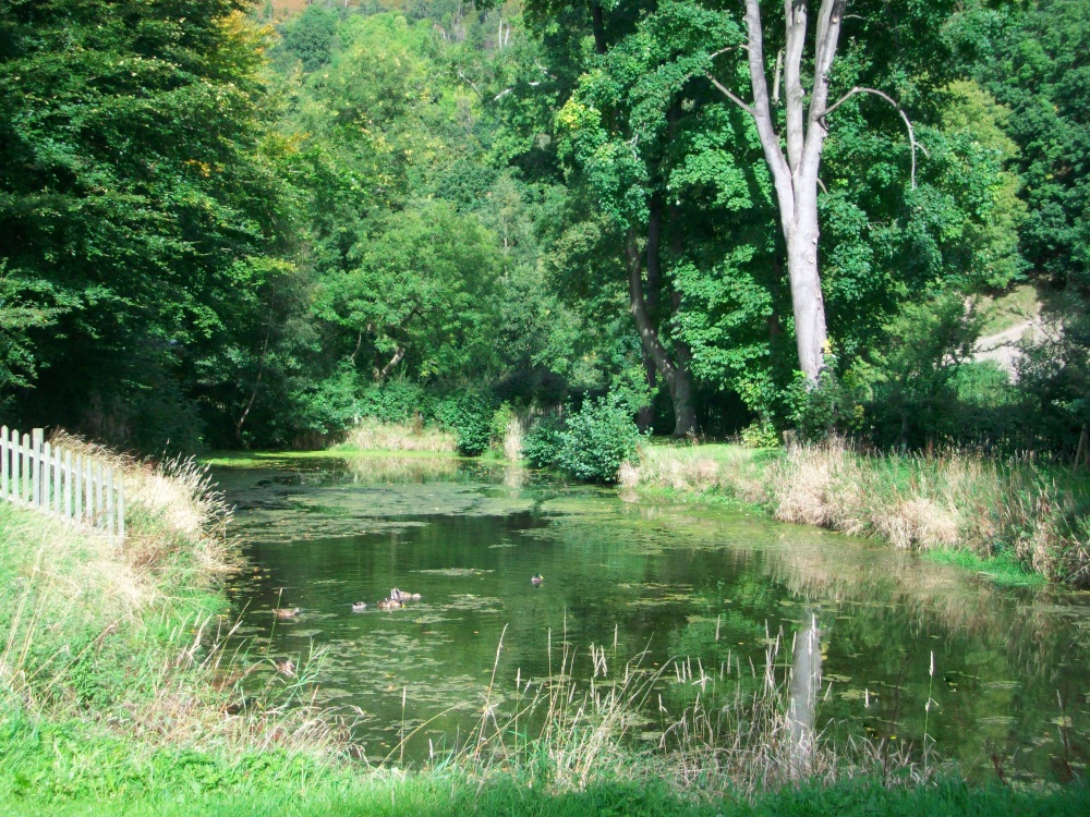 Trout Pond photo by Karen Lee