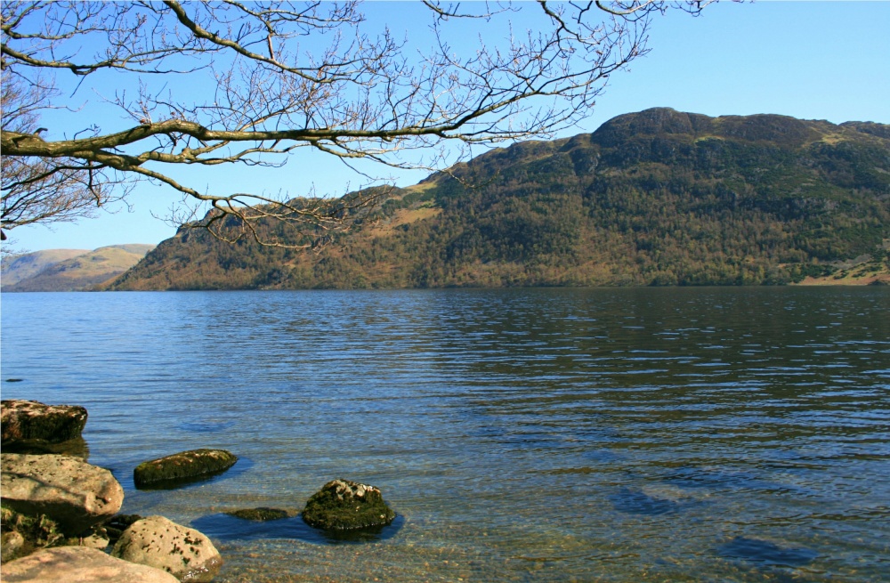 Ullswater, the shore near the daffodils.