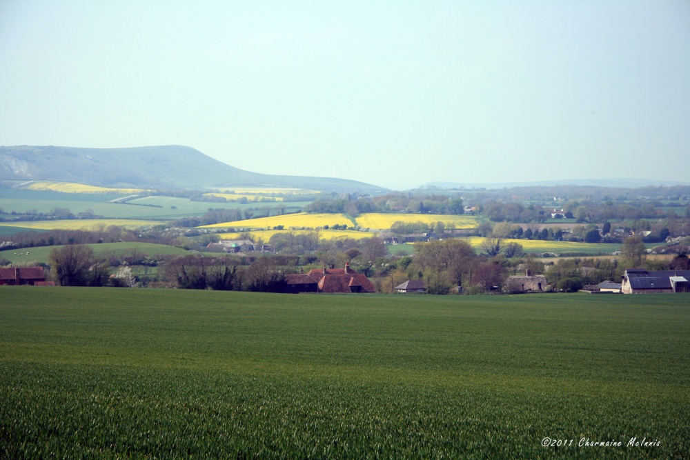 Photograph of Sussex countryside!