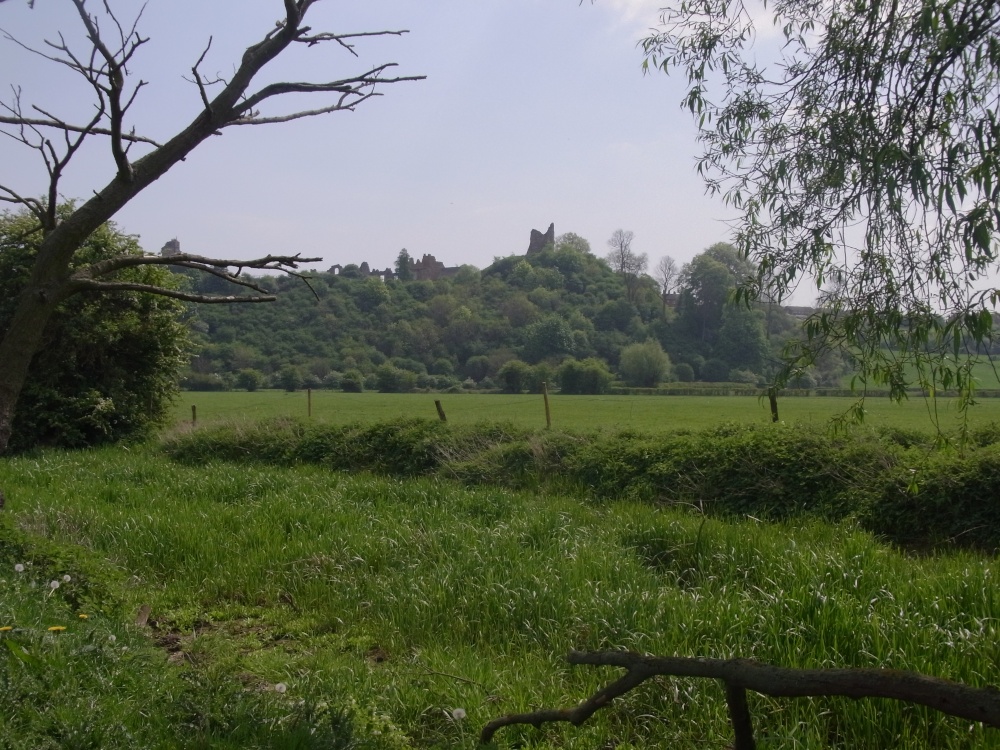 The Castle on the Hill