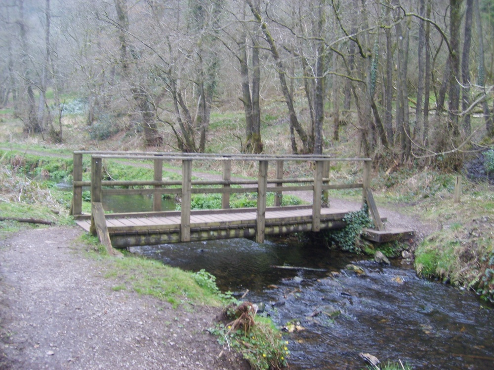 Footbridge over River Otter at Otterhead Lakes