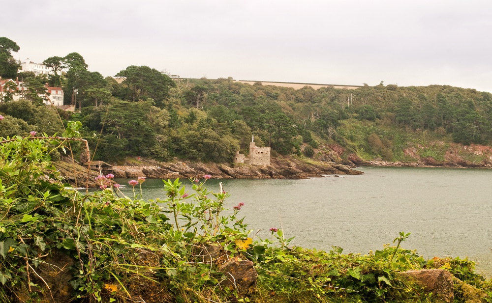 View from Dartmouth Castle photo by Sally Birch