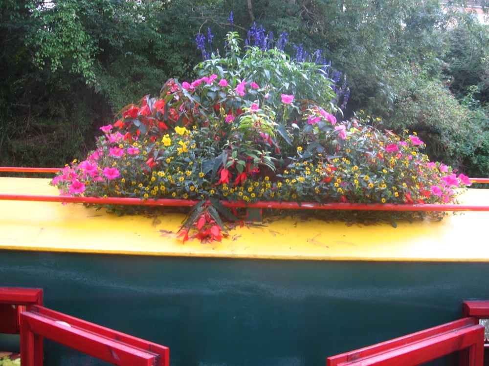 Narrowboat Flowers