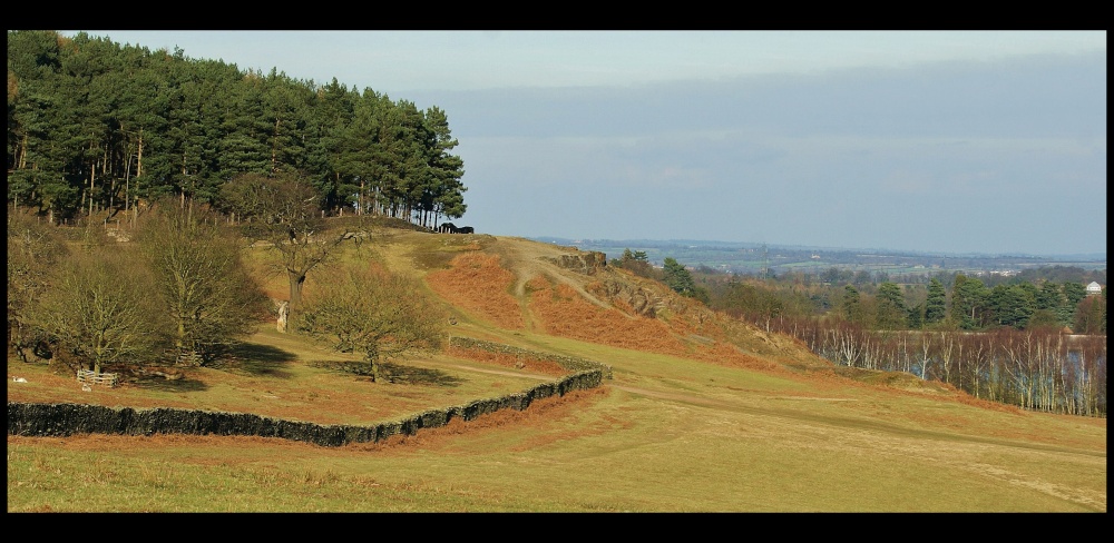 Bradgate Park View