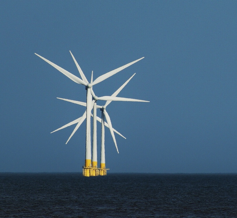 Photograph of Wind Turbines in the Sea