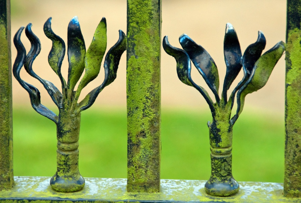 Railings, Petworth House photo by Andrew Marks