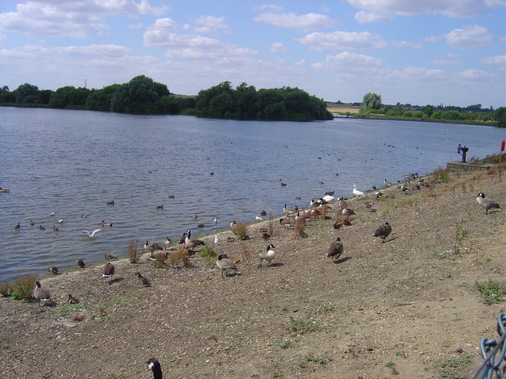 Photograph of Abberton Reservoir