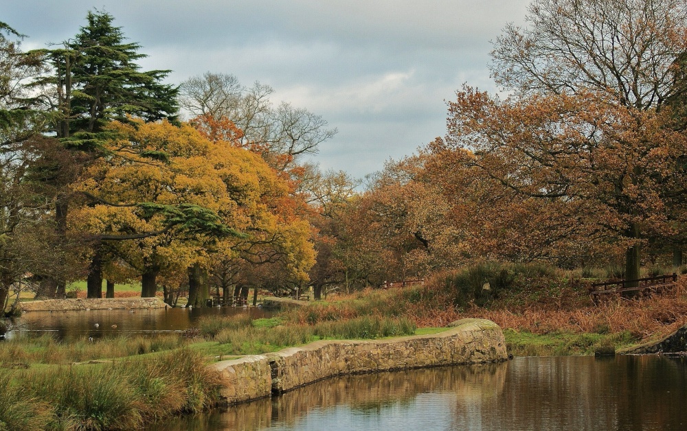 Bradgate Country Park