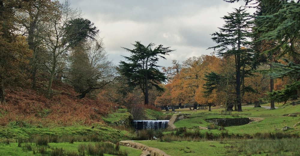 Bradgate country Park -2