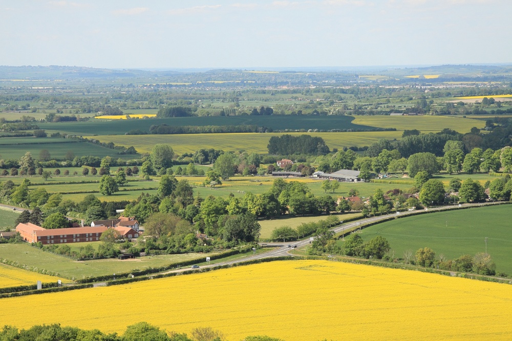 View from Beacon Hill towards Thame