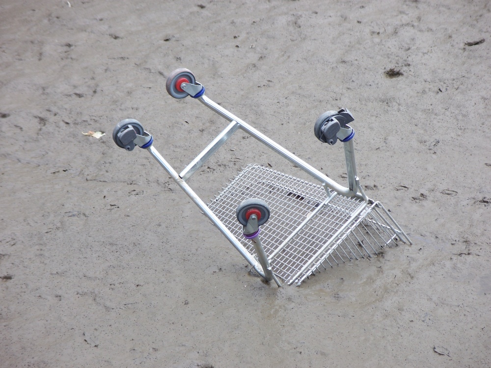 Photograph of THEY ARE OFF THEIR TROLLEY