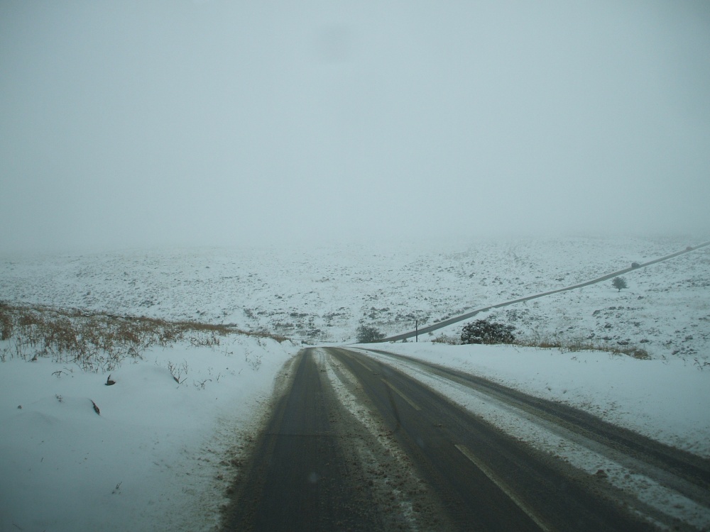 The bleakness of a Dartmoor Winters day.