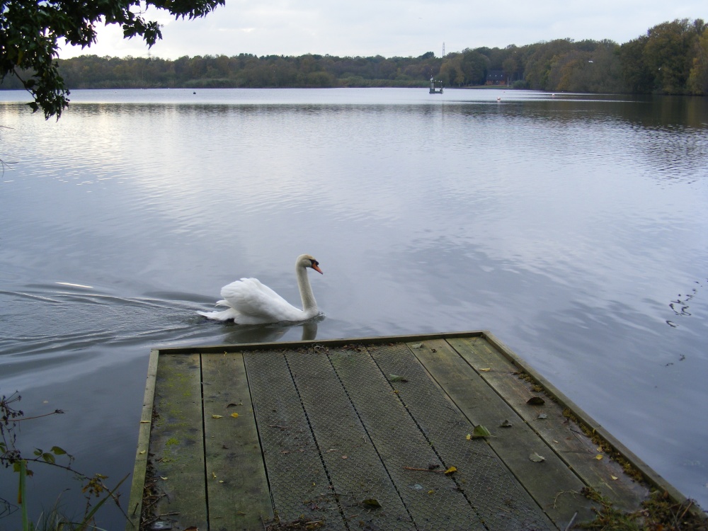 Just passing Through At Snowhill Pond