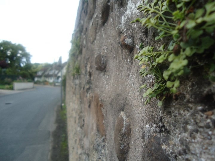 Up against the wall.