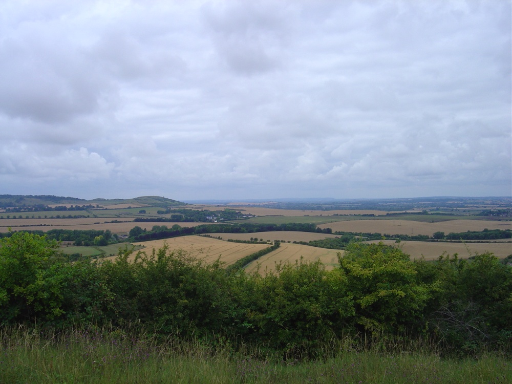 Photograph of Whipsnade