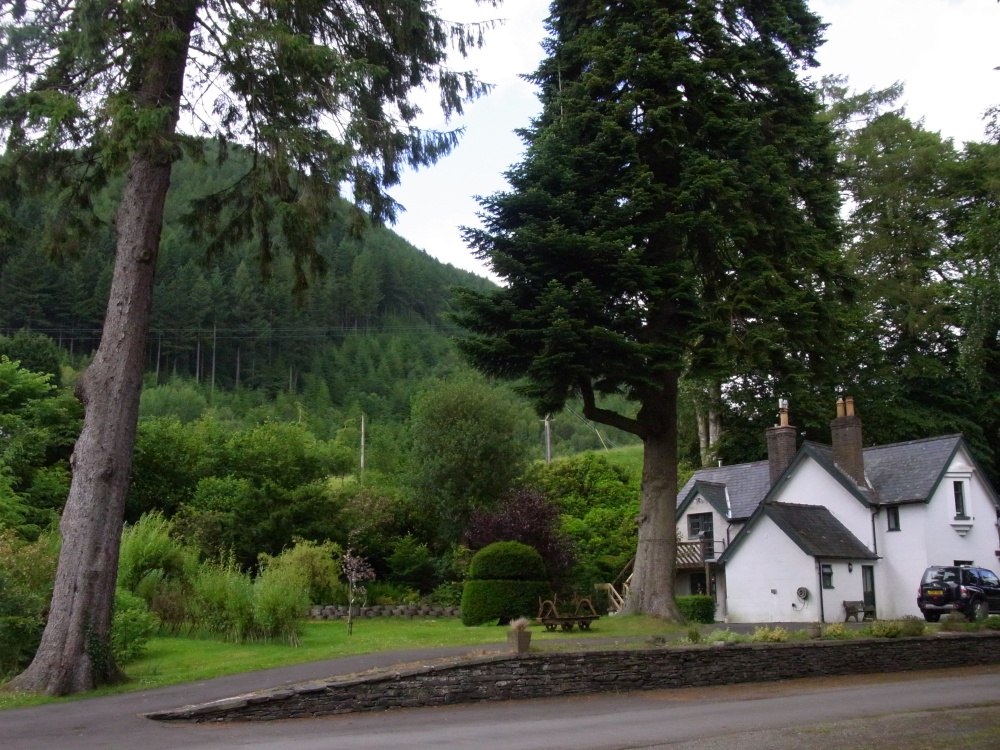 The Old Station House, Minllyn