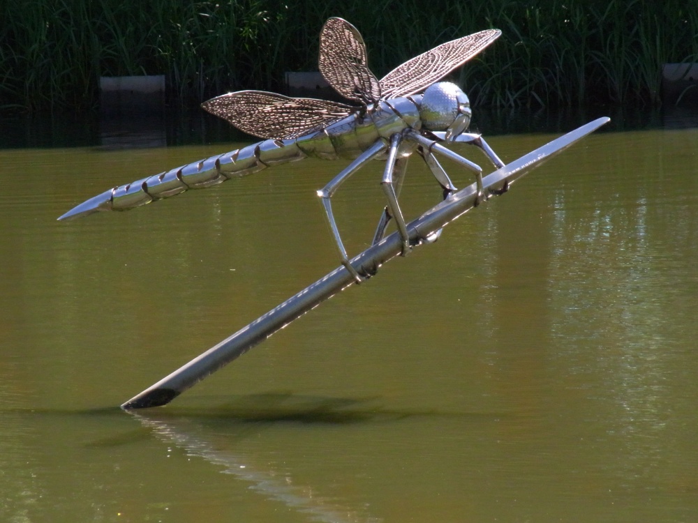 Giant Dragonfly