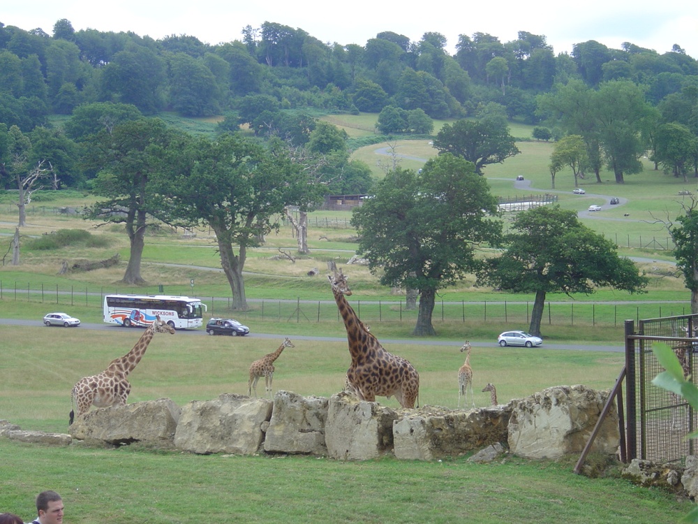 Longleat