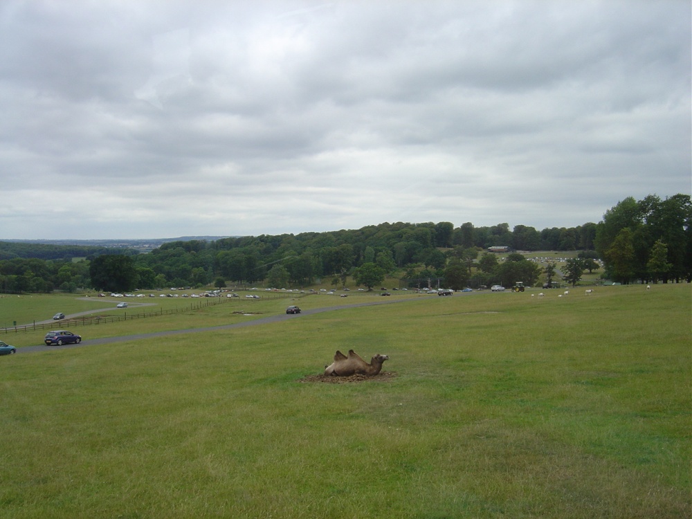 Longleat