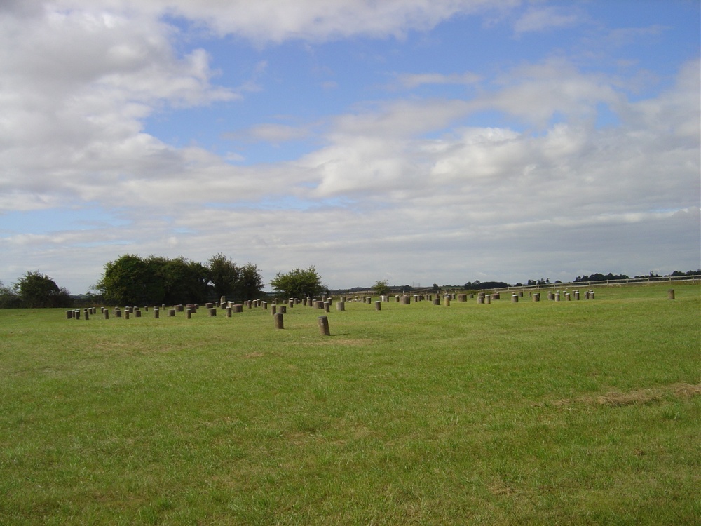 Woodhenge