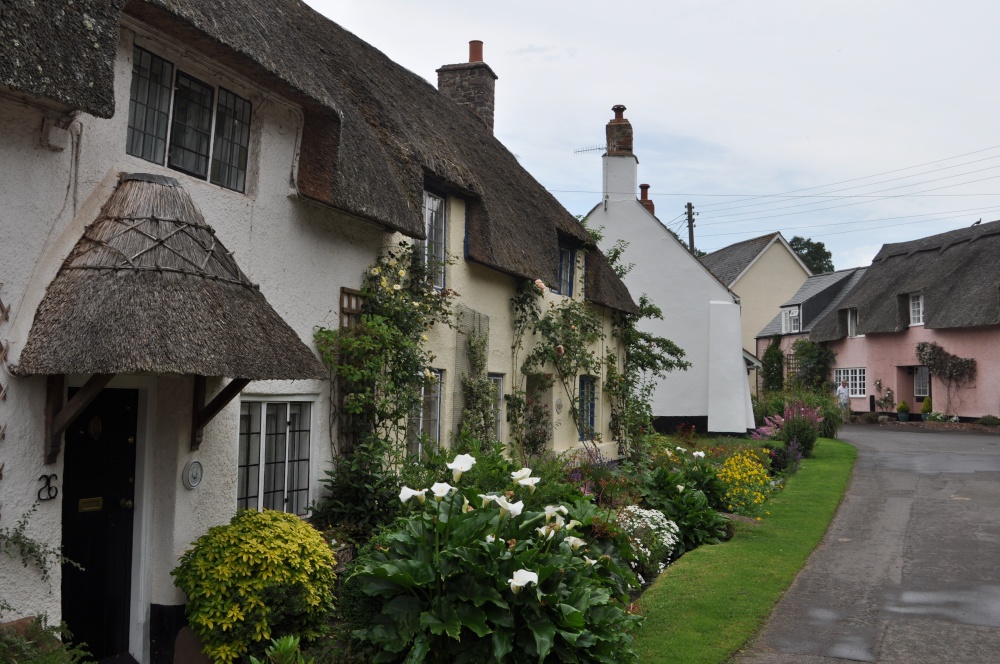 Photograph of Dunster Cottages