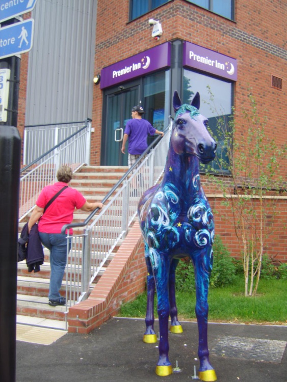 Painted Horses in and around the town of Newmarket