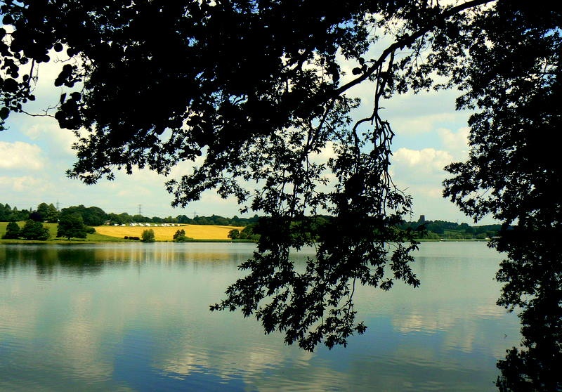 A view across the lake