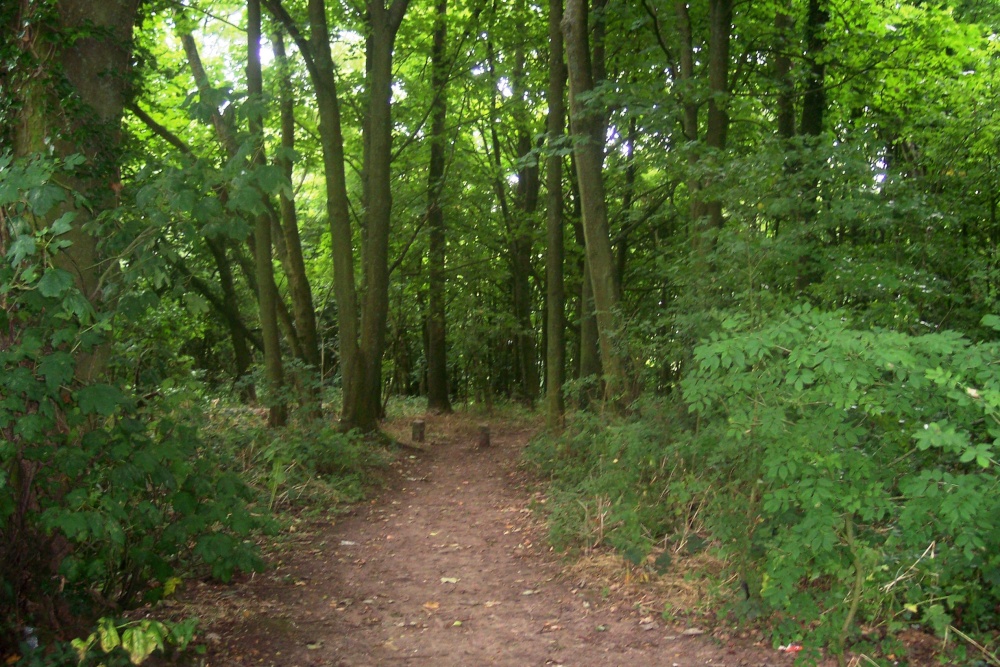 Photograph of Ditchling Common