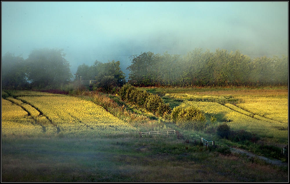 Photograph of Mist over the Weaver