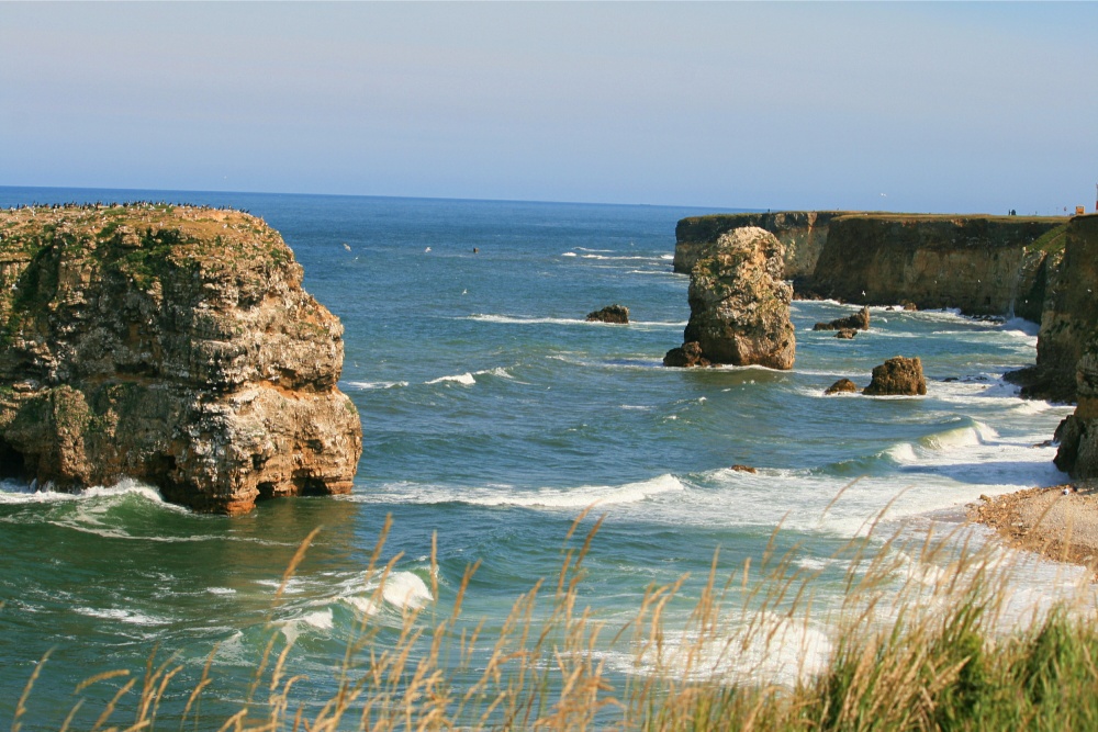 Marsden Bay, looking south from the cliff top.