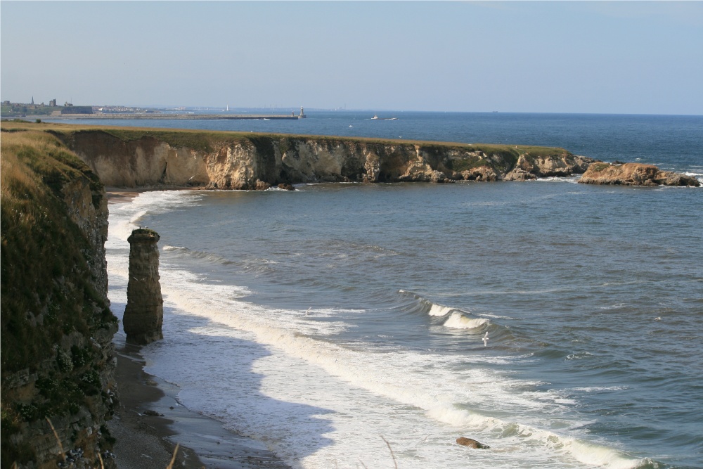 Marsden Bay looking north from the cliff top. photo by Roy Jackson