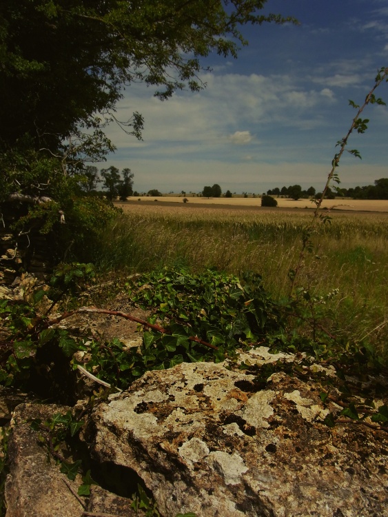 A view of Chavenage Estate, Gloucestershire.