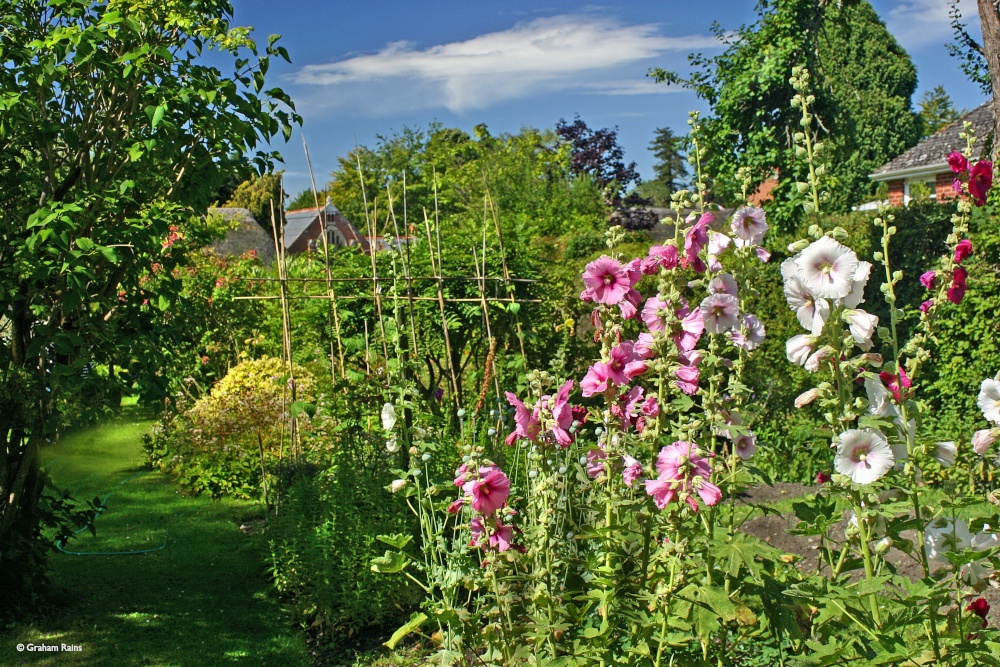 Cottage Gardens