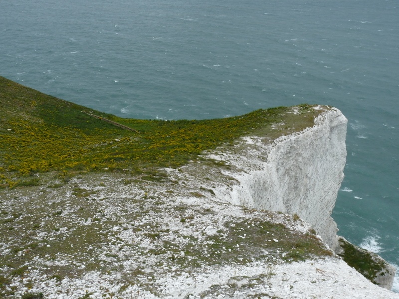 Needles photo by Pat Trout