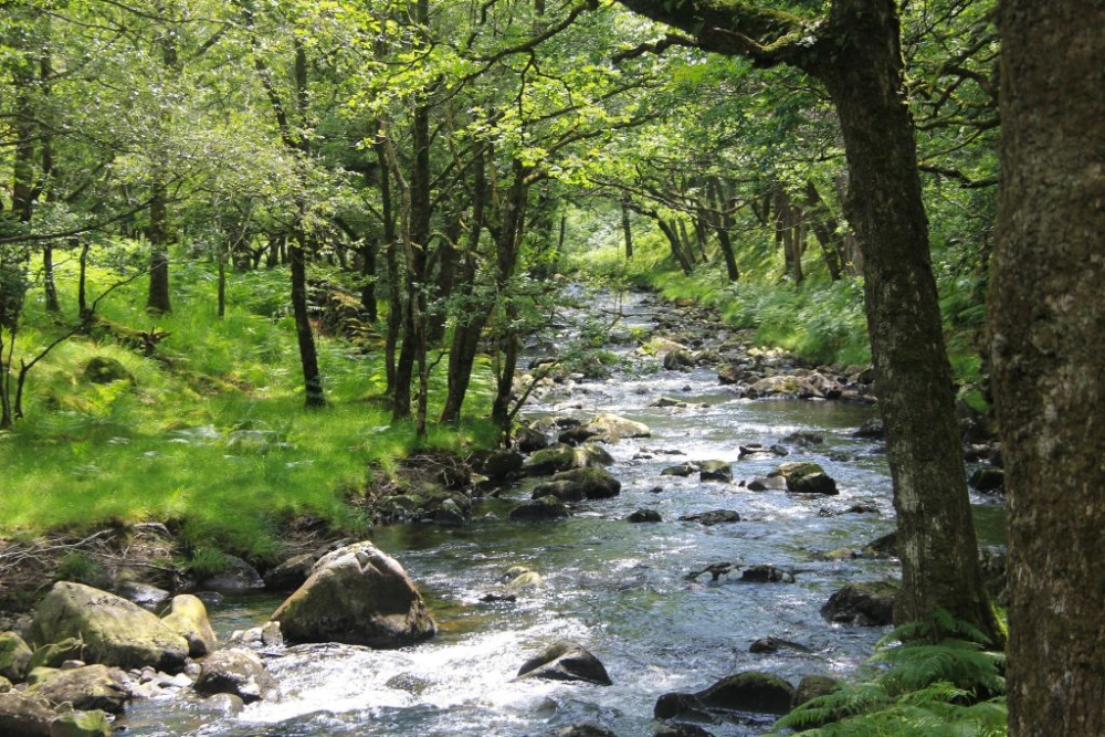 Photograph of Afon Artro near Llanbedr