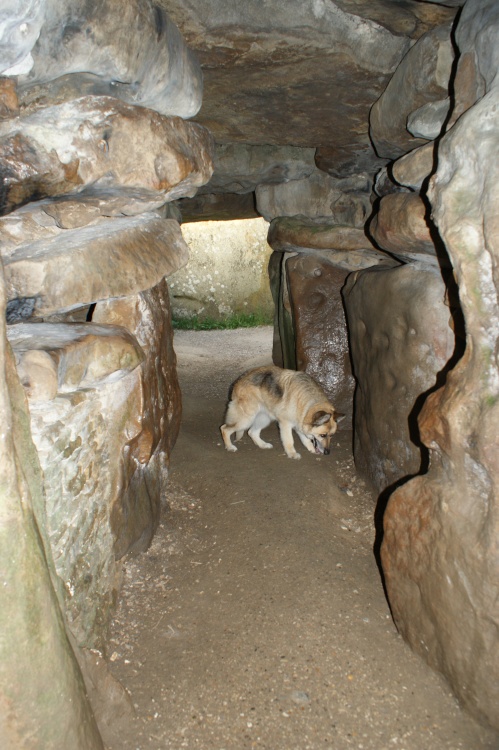 Sadie inside the barrow